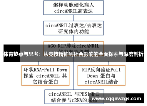 体育热点与思考：从竞技精神到社会影响的全面探索与深度剖析